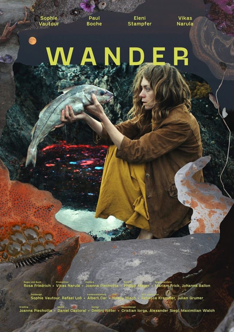 Poster of Wander