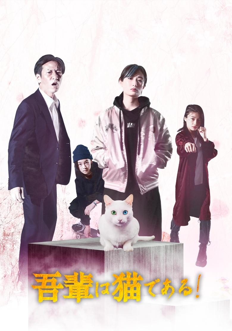 Poster of I'm a cat!