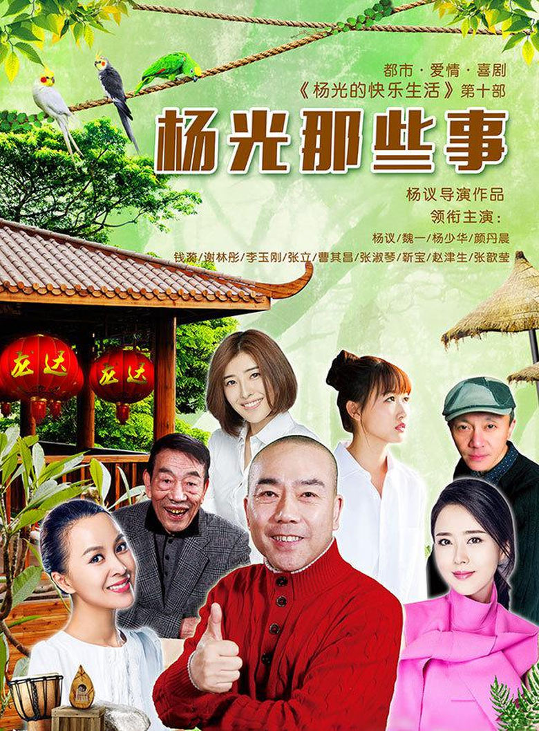 Poster of 杨光那些事