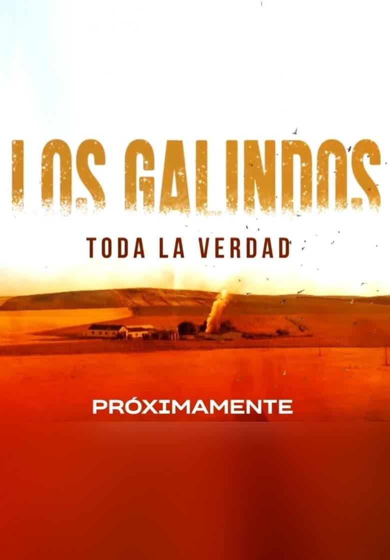 Poster of The Galindos, all the truth