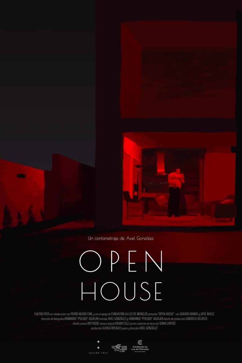 Poster of Open House