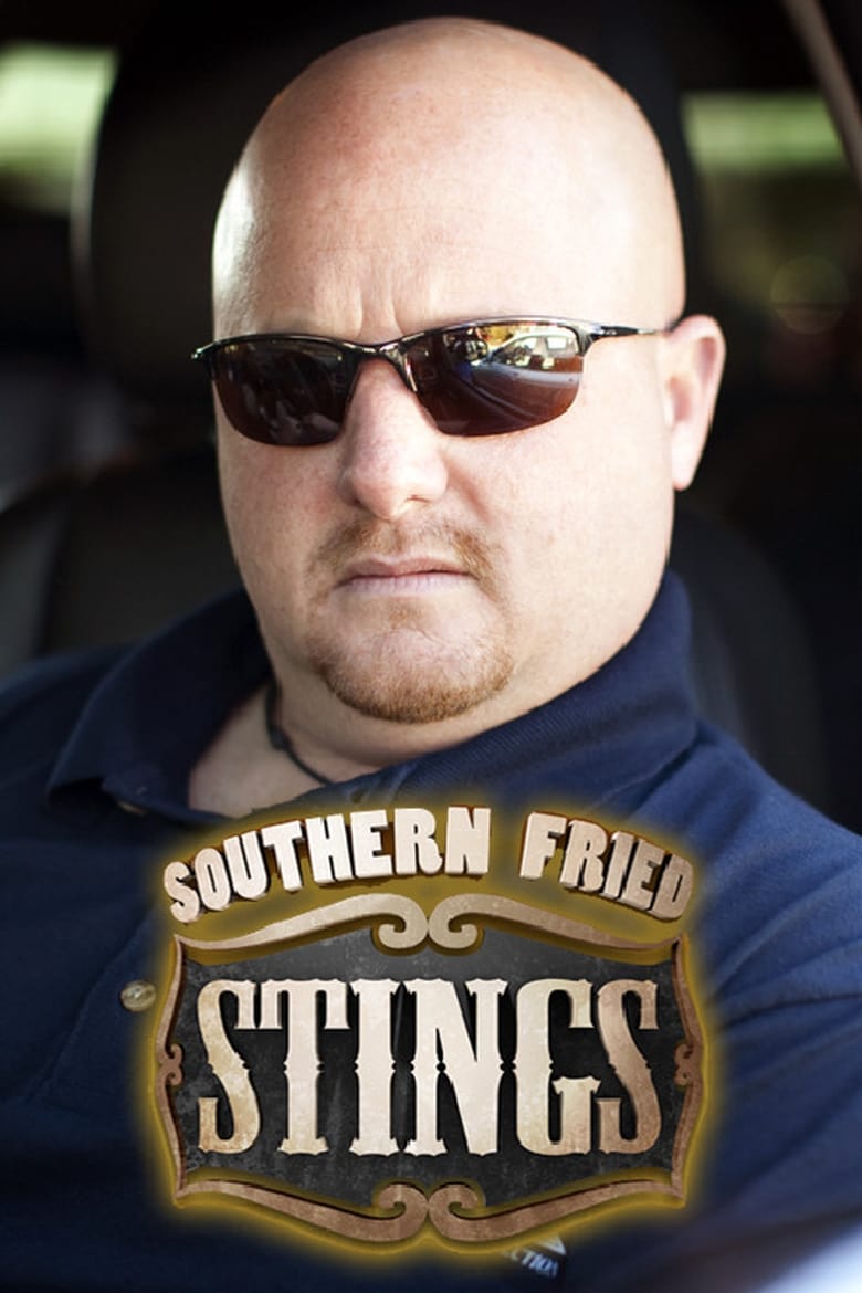 Poster of Southern Fried Stings