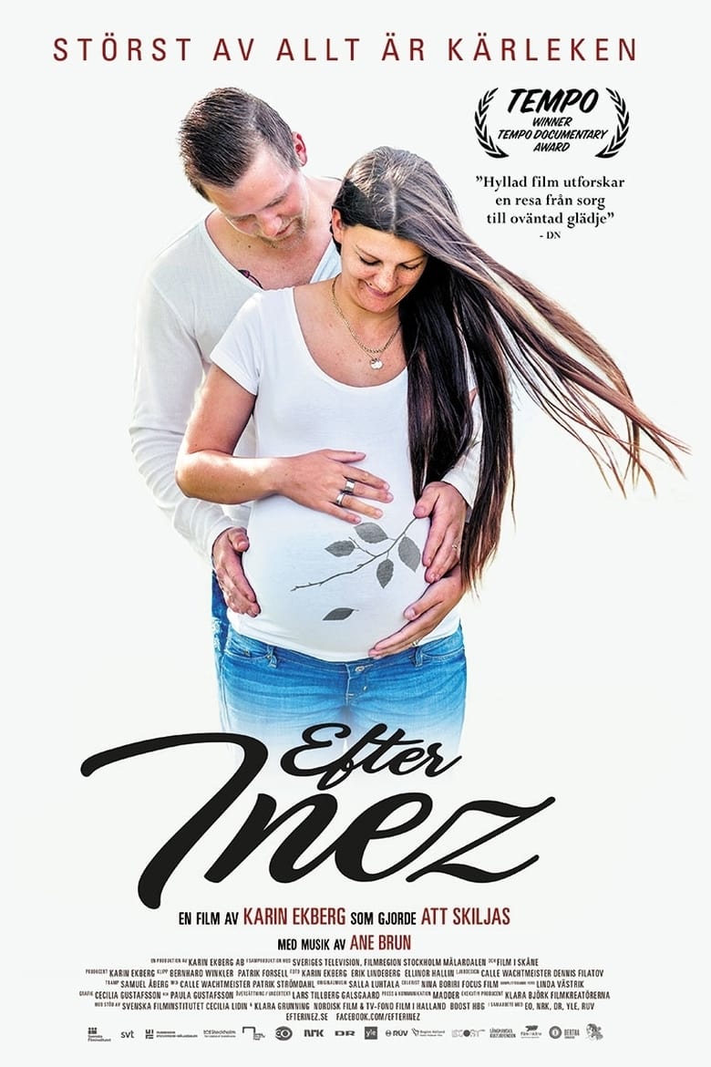 Poster of After Inez