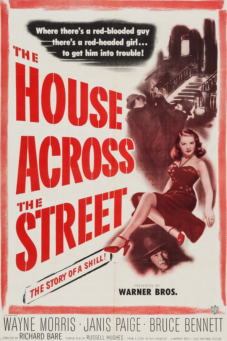 Poster of The House Across the Street