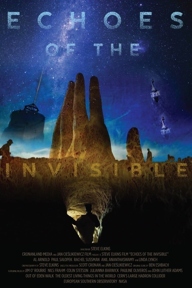 Poster of Echoes of the Invisible