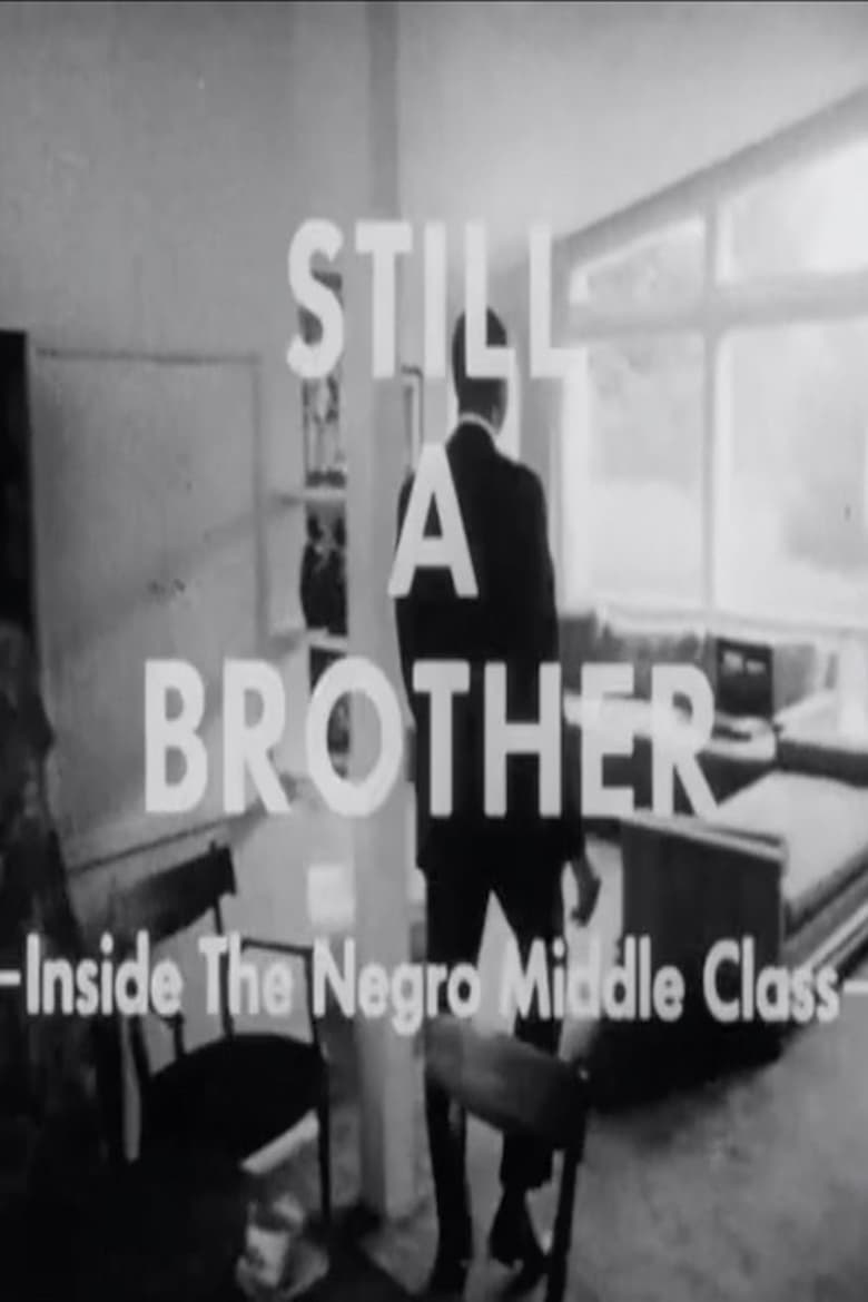 Poster of Still A Brother: Inside the Negro Middle Class