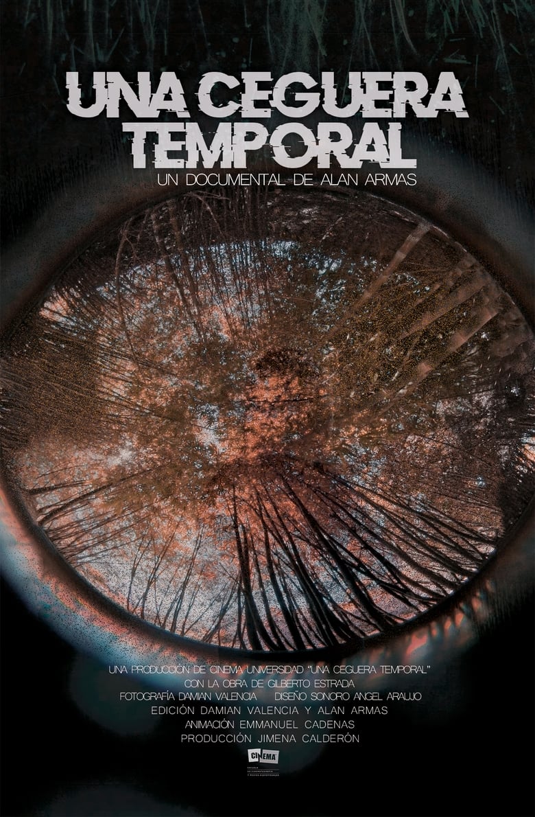 Poster of Una Ceguera Temporal