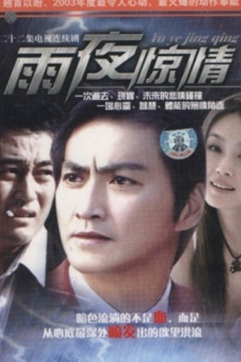 Poster of 雨夜惊情