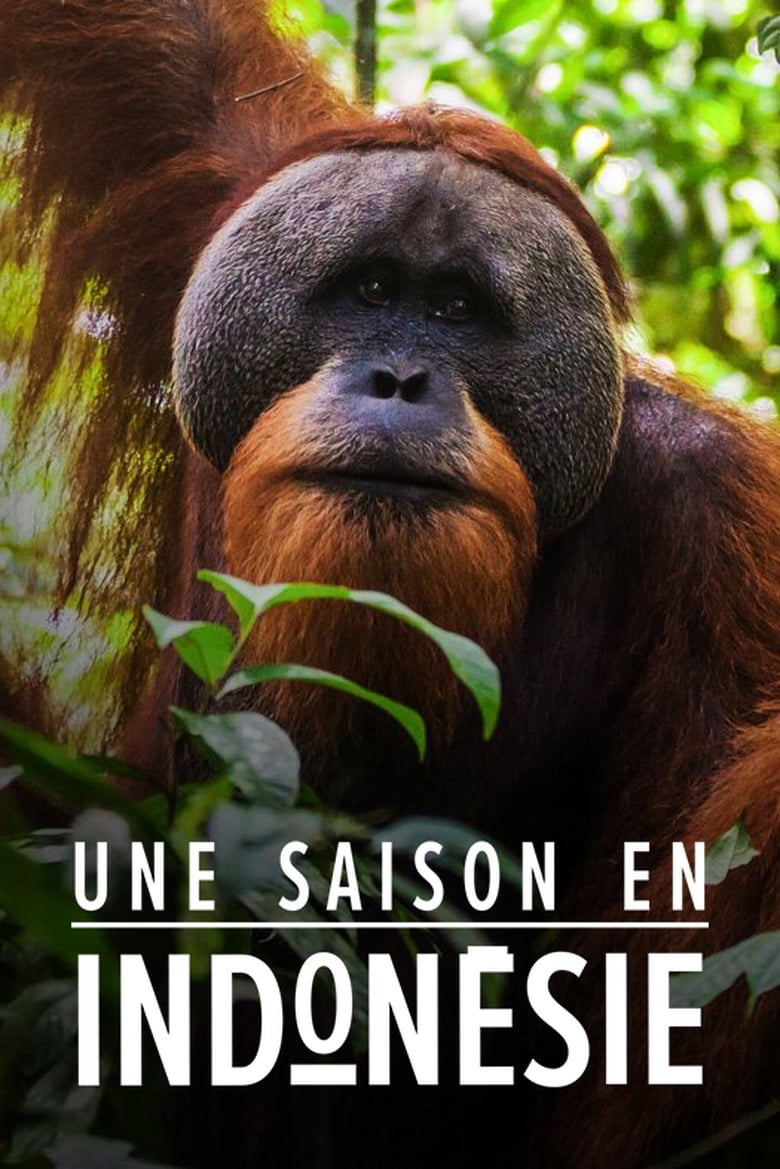 Poster of Une saison en Indonésie