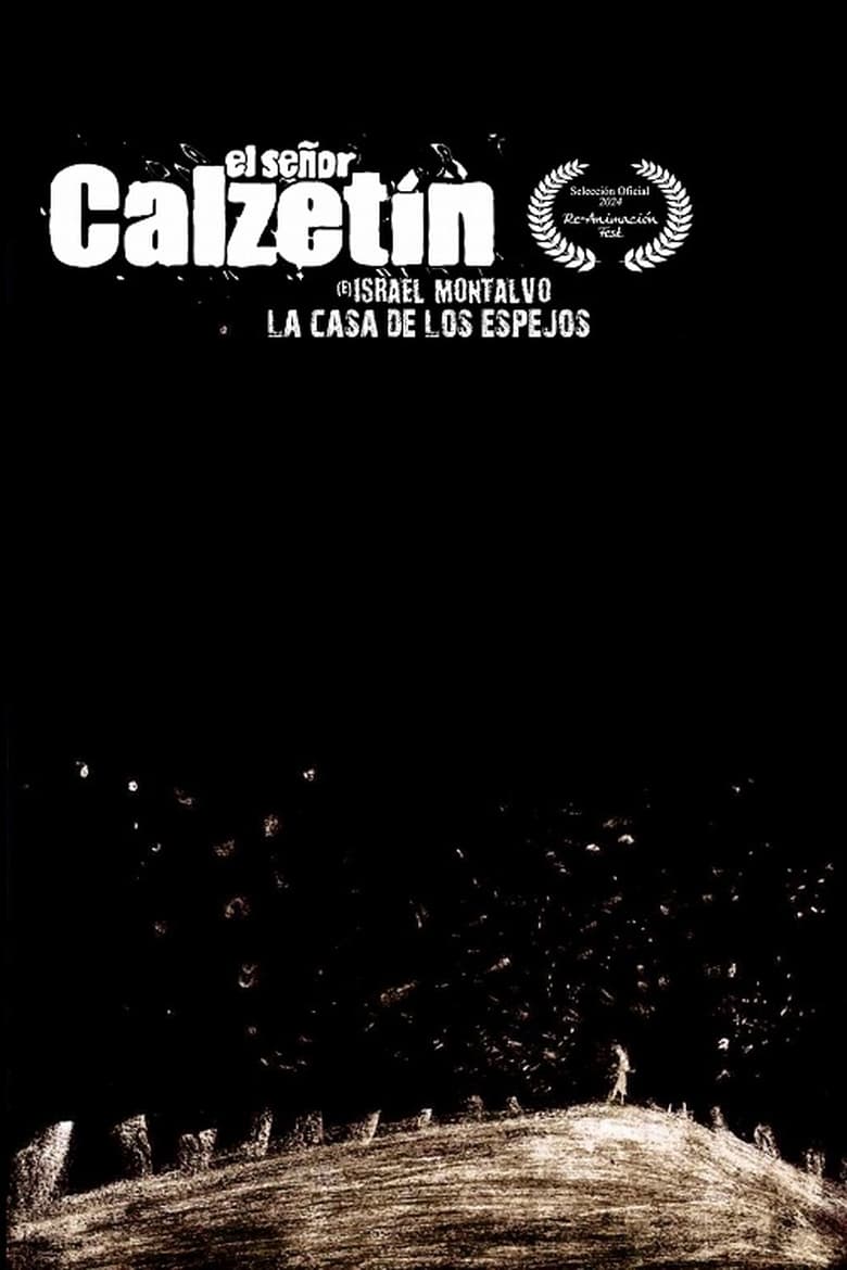 Poster of El señor Calzetín en la casa de los espejos