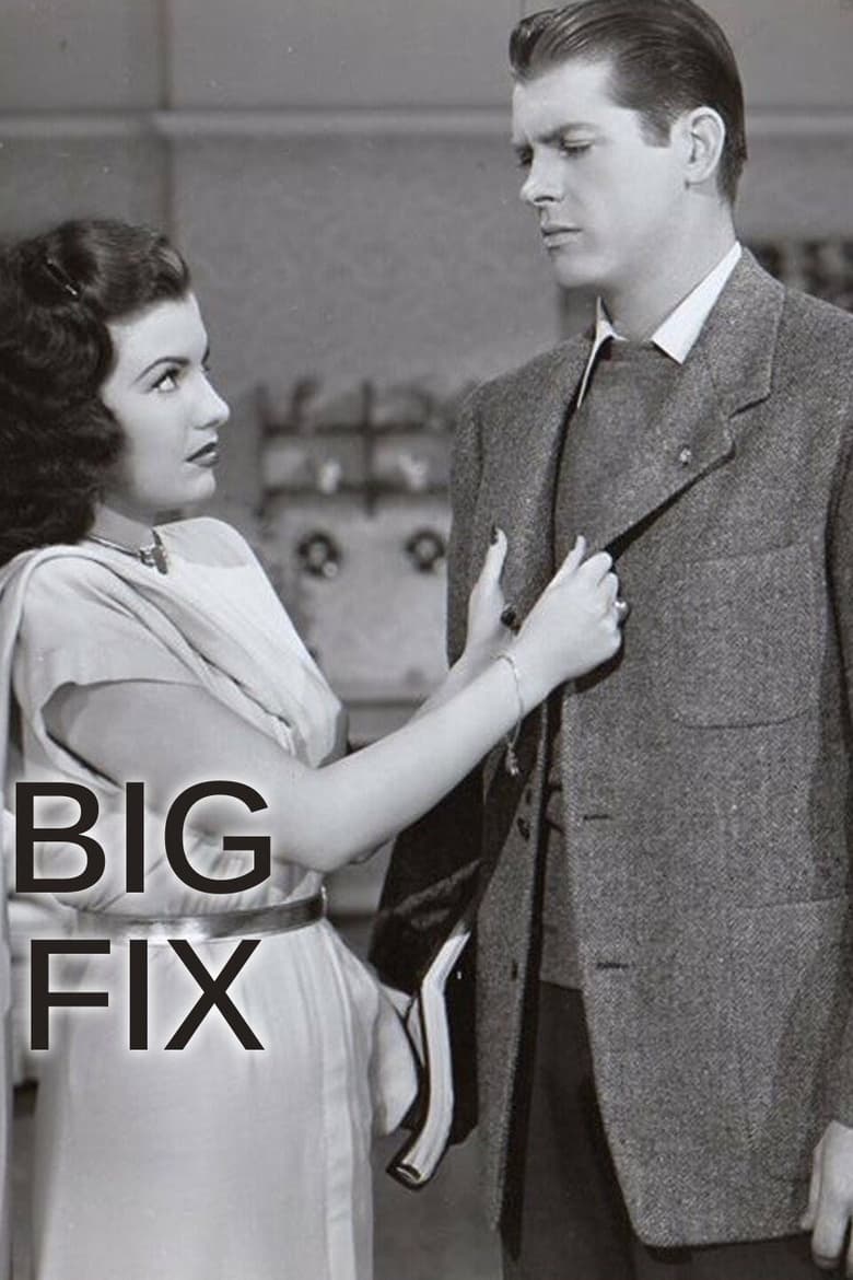 Poster of The Big Fix