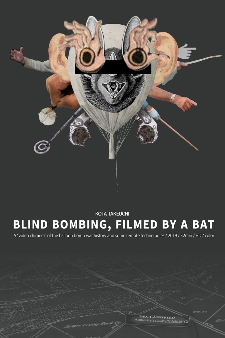 Poster of Blind Bombing, Filmed by a Bat