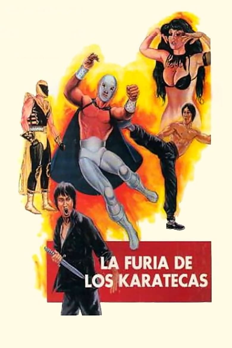 Poster of The Fury of the Karate Experts