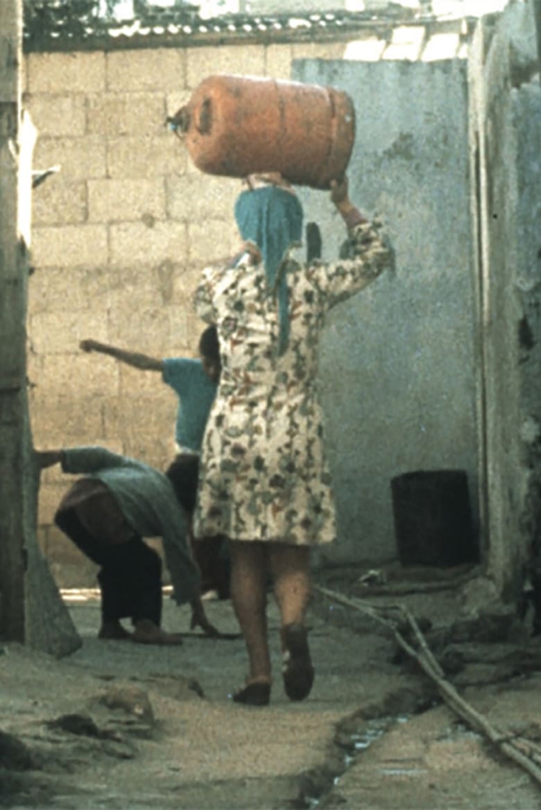 Poster of Palestinian Women