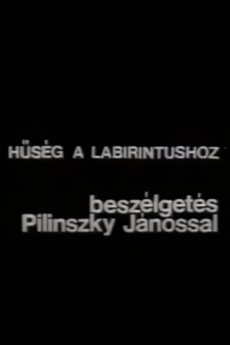 Poster of Hűség a labirintushoz – Beszélgetés Pilinszky Jánossal