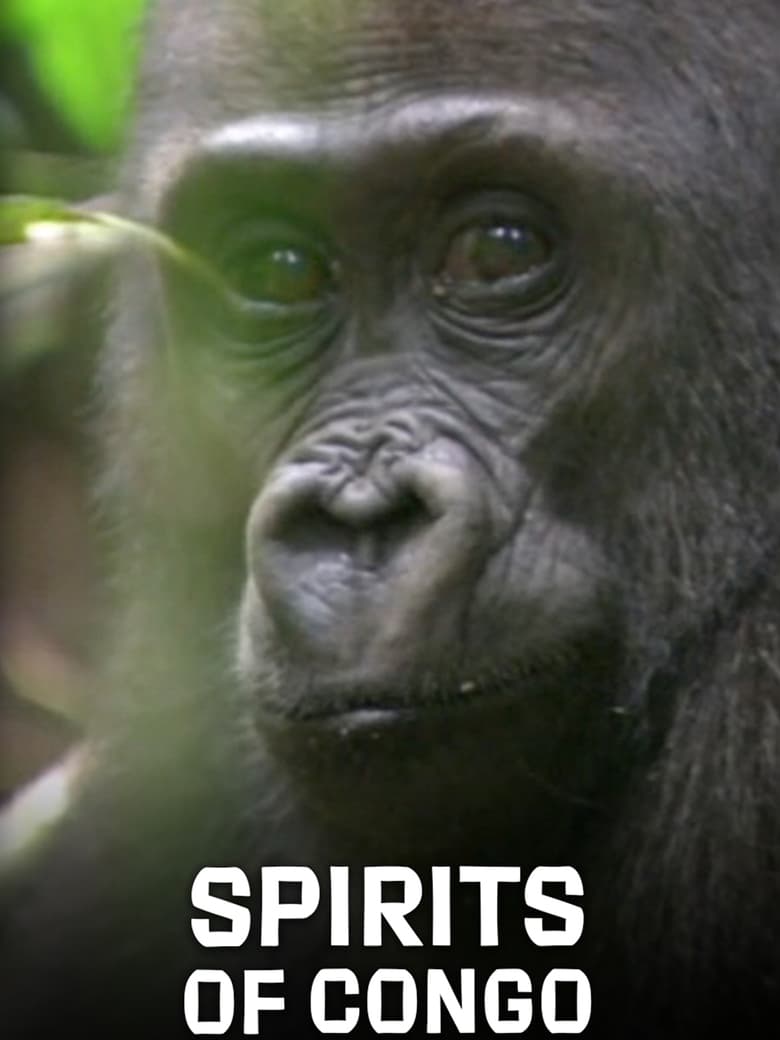 Poster of Spirits of Congo