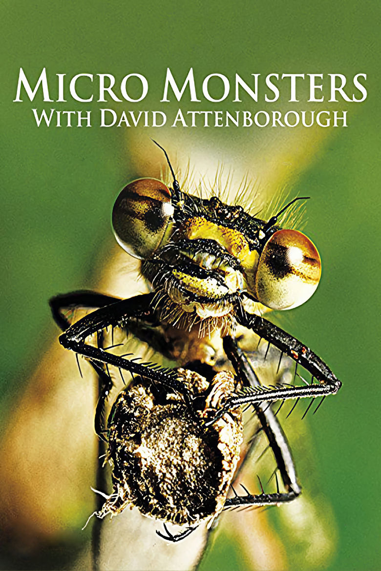 Poster of Episodes in Micro Monsters With David Attenborough - Season 1 - Season 1