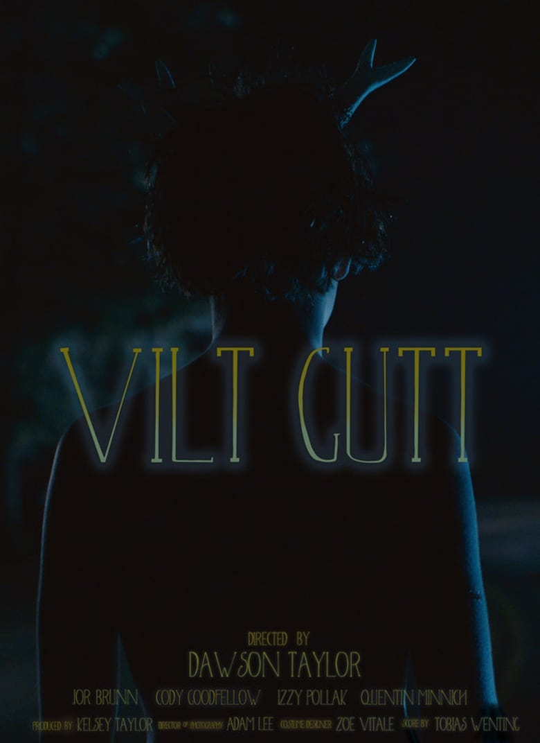 Poster of Vilt Gutt