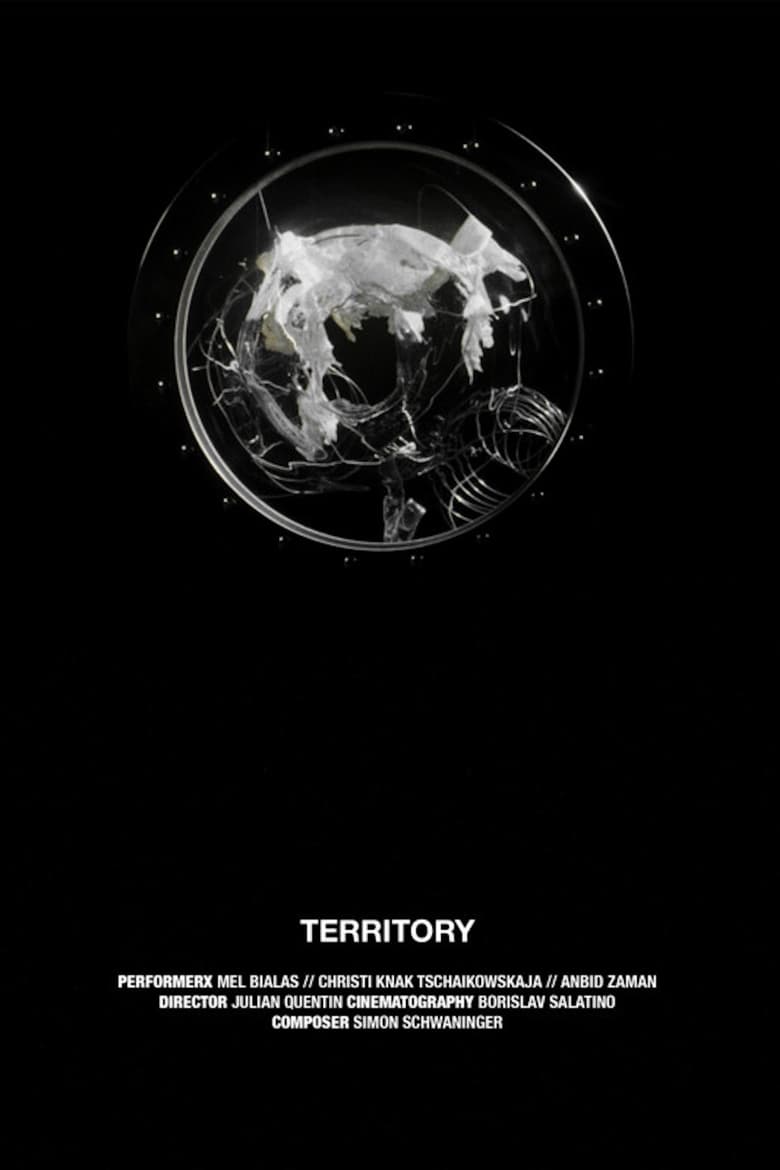 Poster of Territory