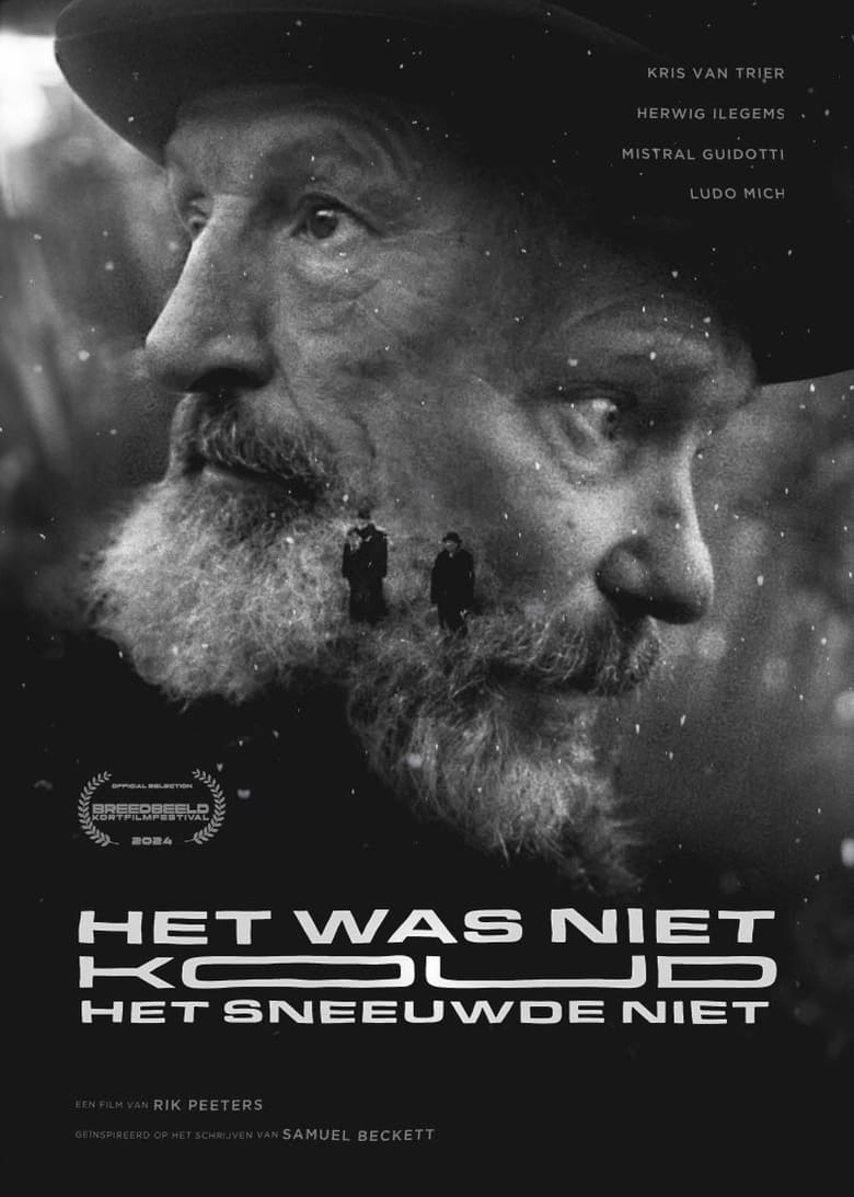 Poster of Het Was Niet Koud, Het Sneeuwde Niet