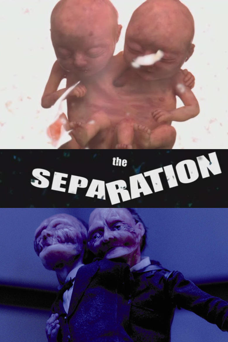 Poster of The Separation