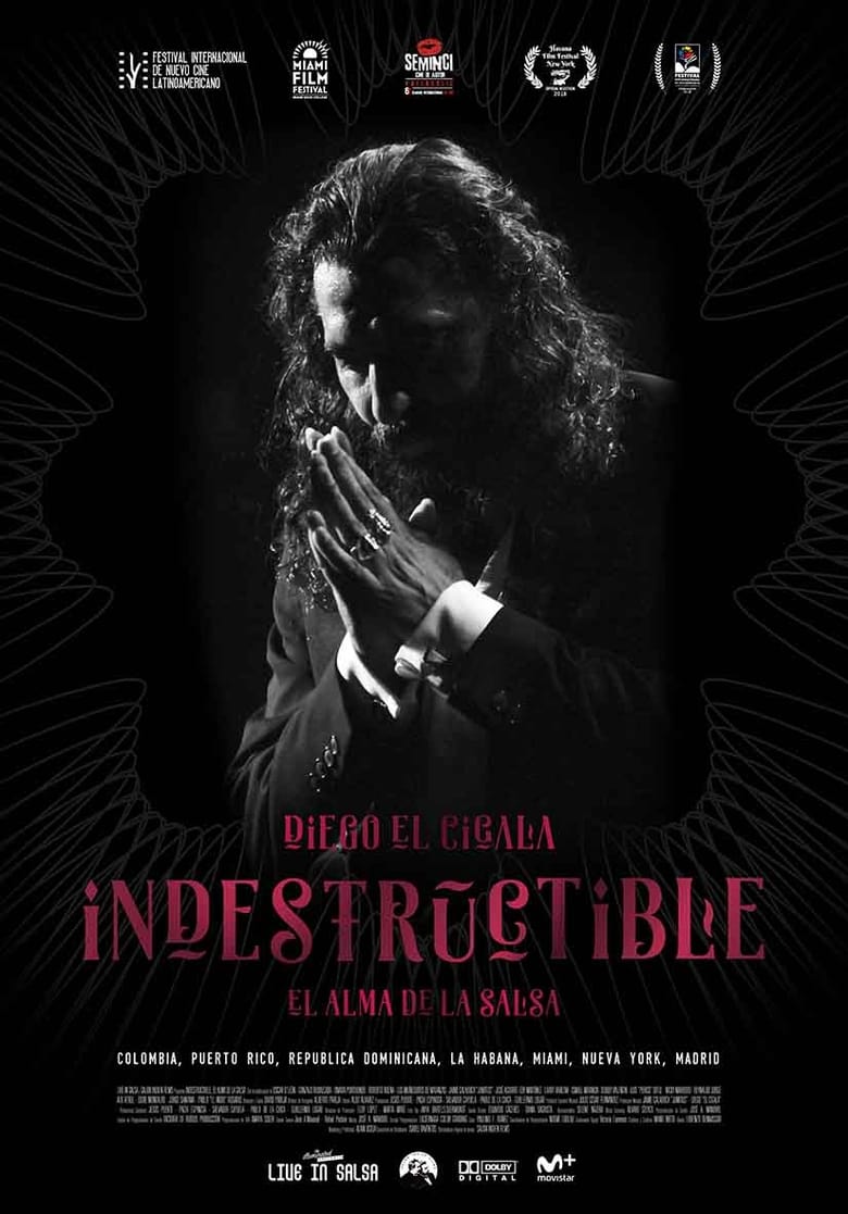 Poster of Indestructible: El alma de la salsa