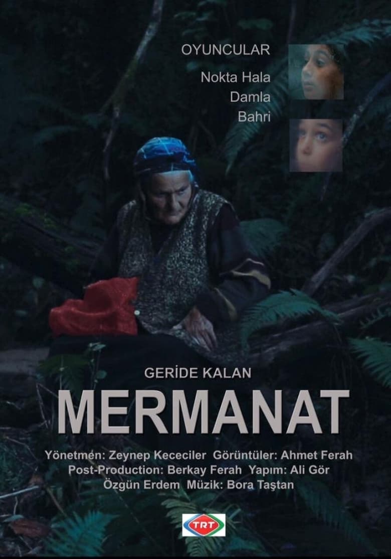 Poster of Geride Kalan Mermanat