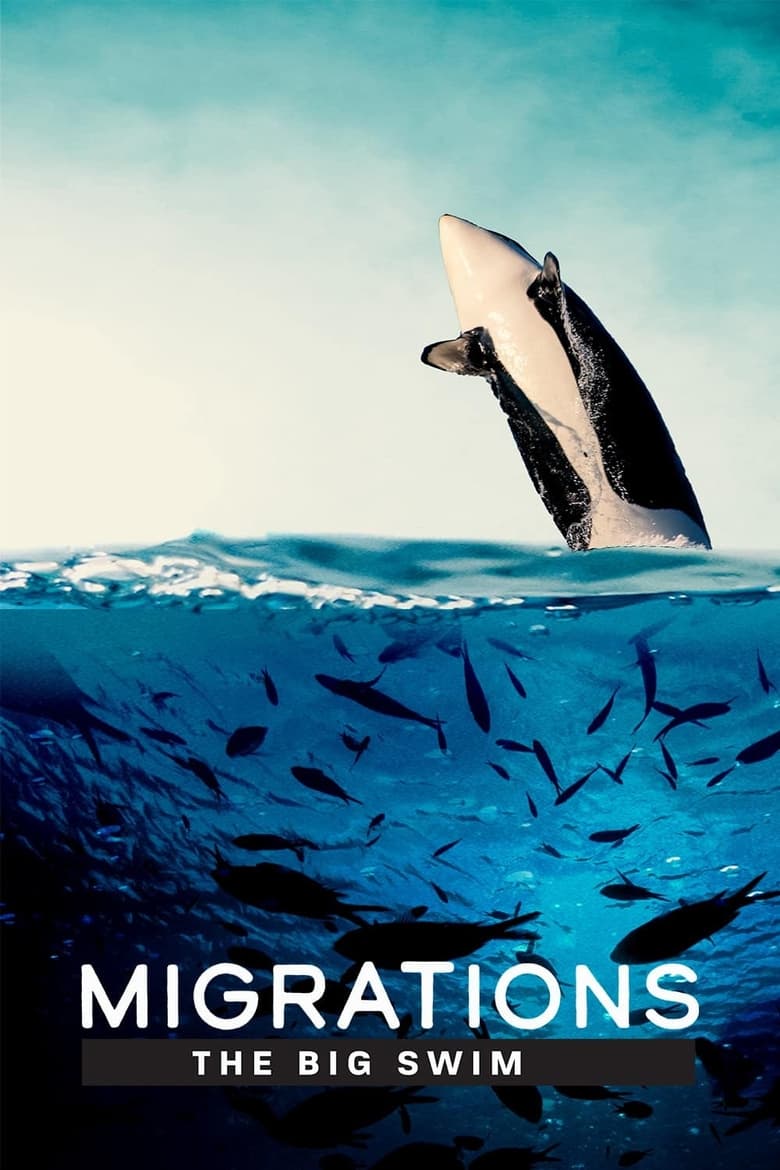 Poster of Migrations: The Big Swim