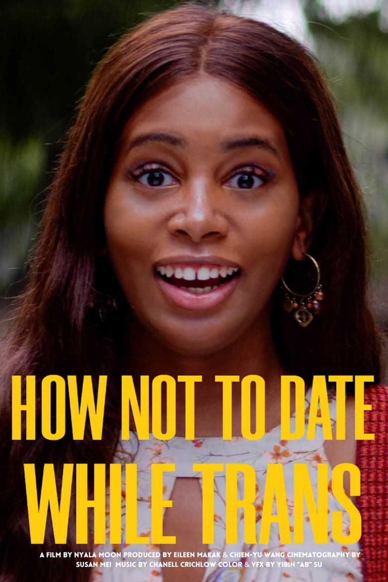 Poster of How Not to Date While Trans