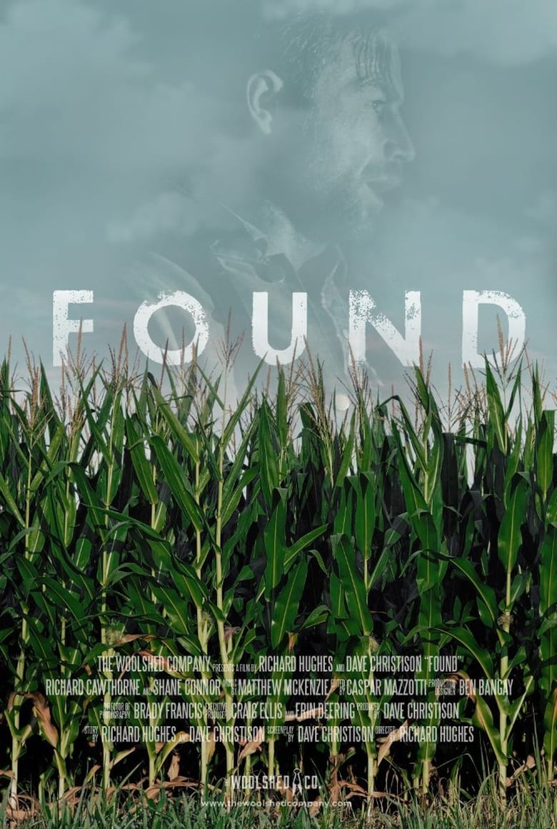 Poster of Found