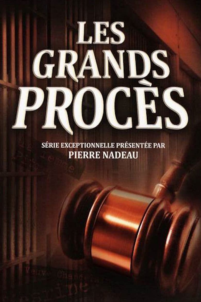 Poster of Les grands procès