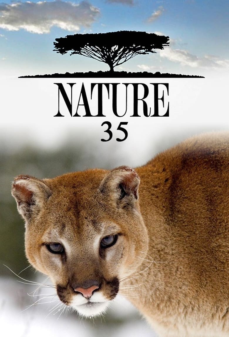 Poster of Cast and Crew in Nature - Season 35 - Episode 4 - The Story of Cats: Asia to Africa