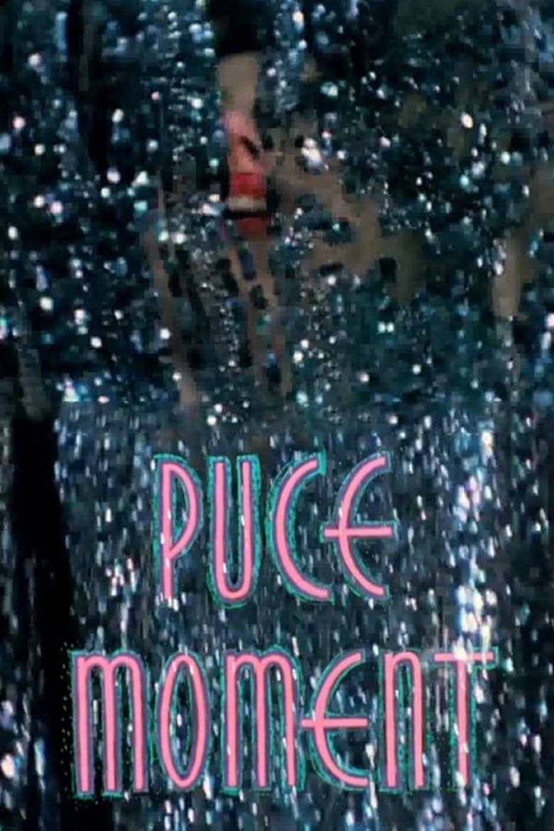 Poster of Puce Moment