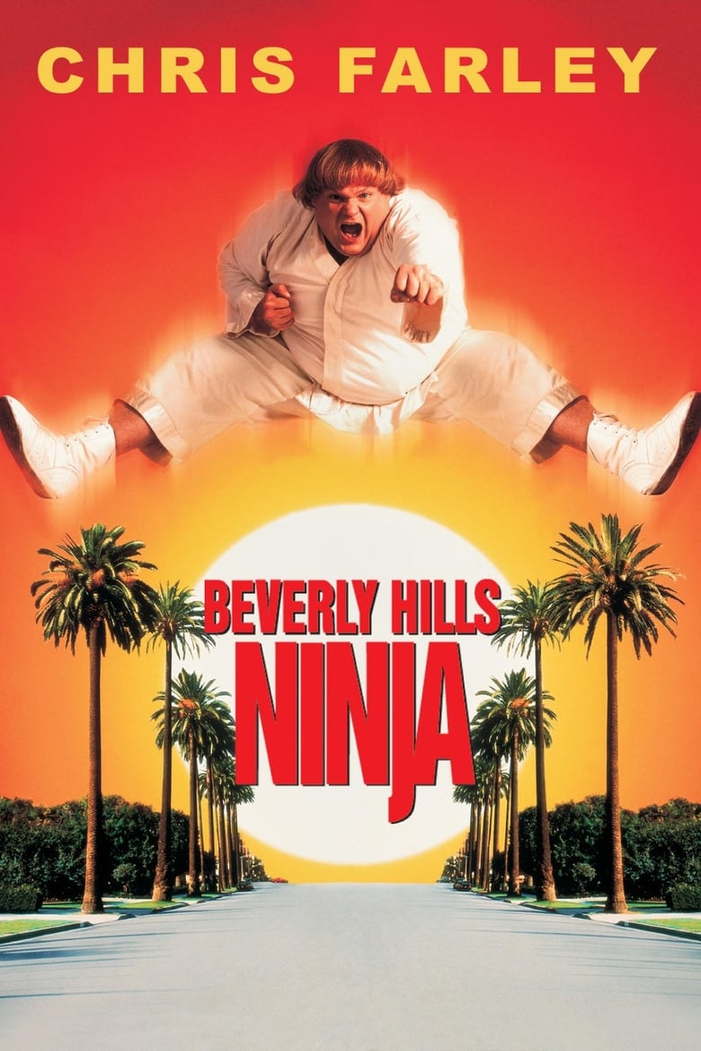 Poster of Beverly Hills Ninja