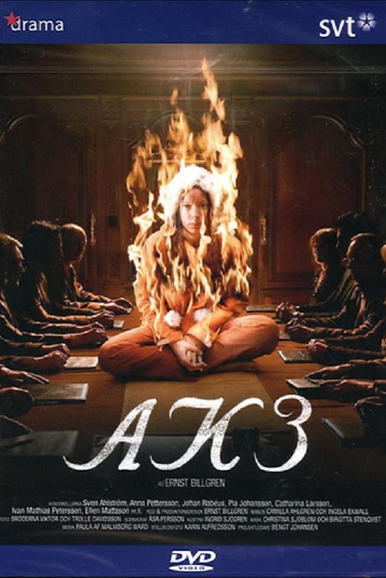 Poster of AK3