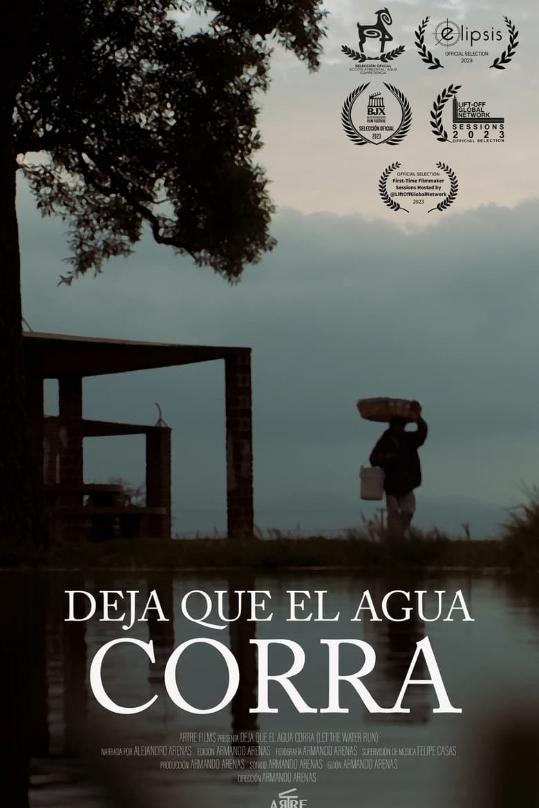 Poster of Deja que el agua corra