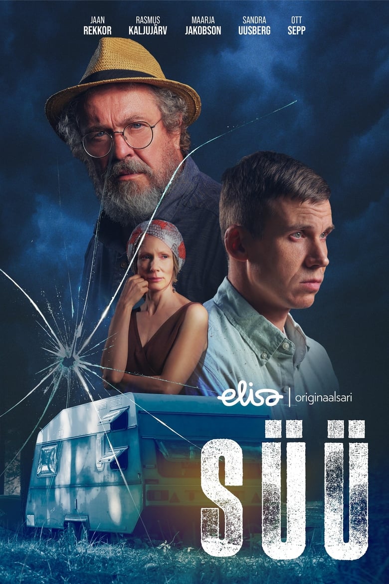 Poster of Süü