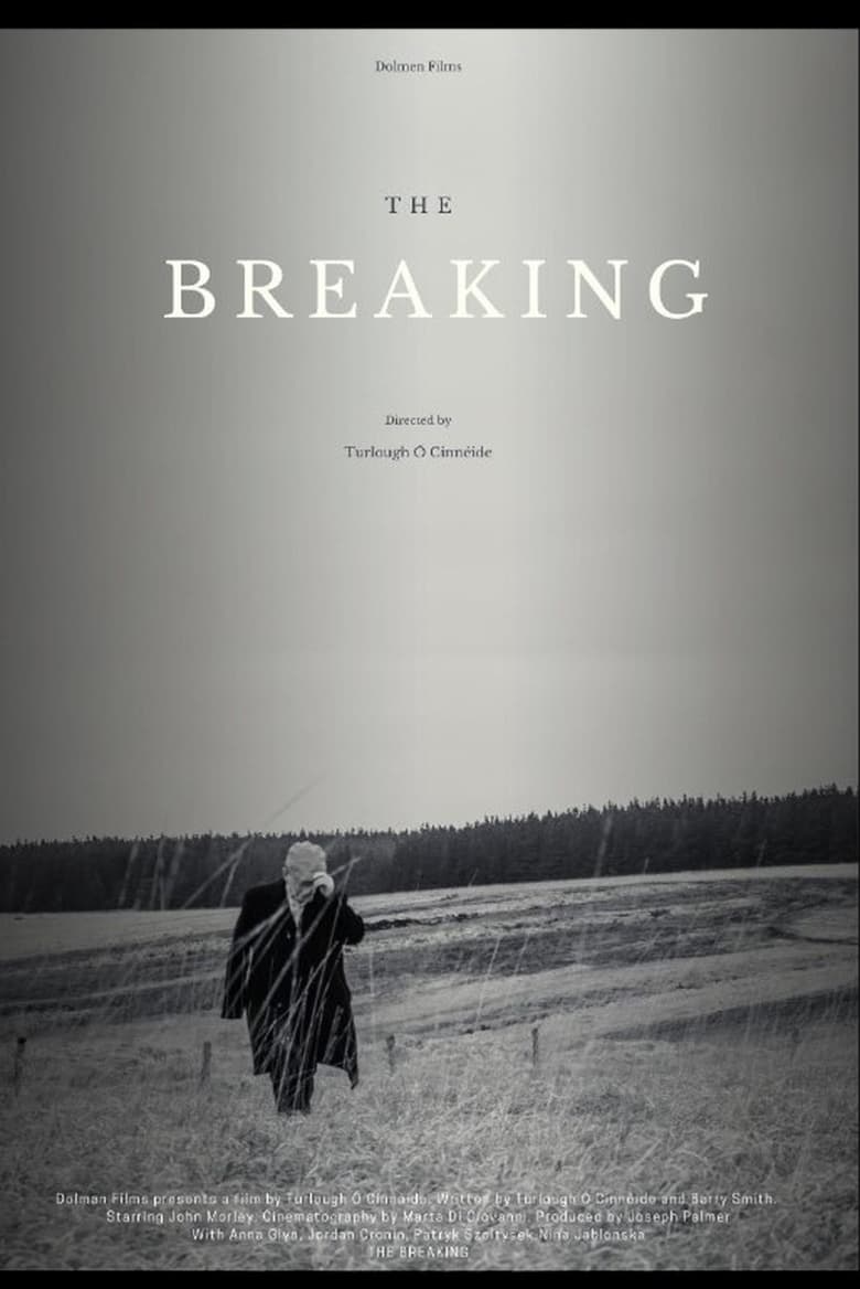 Poster of The Breaking