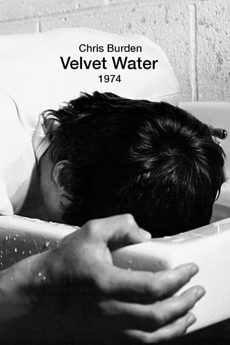 Poster of Velvet Water