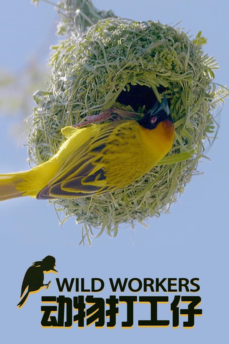 Poster of Wild Workers