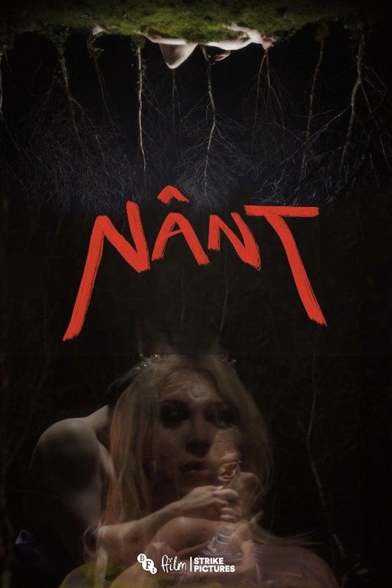 Poster of Nânt