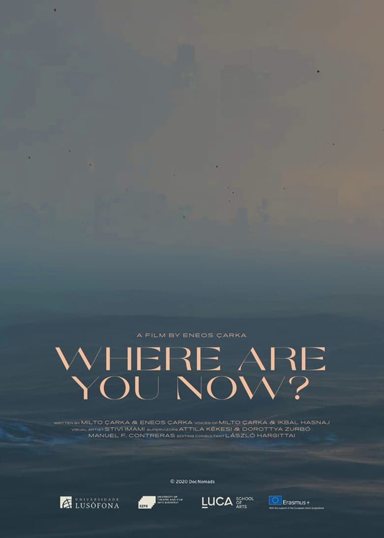 Poster of Where Are You Now?