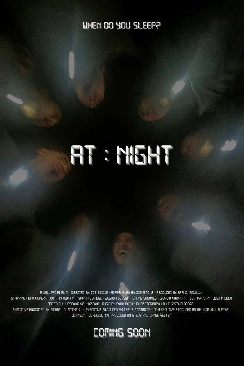 Poster of At Night