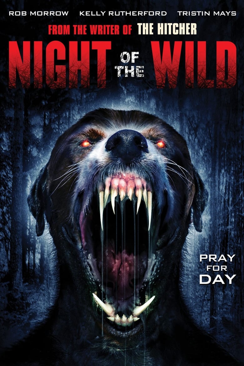 Poster of Night of the Wild