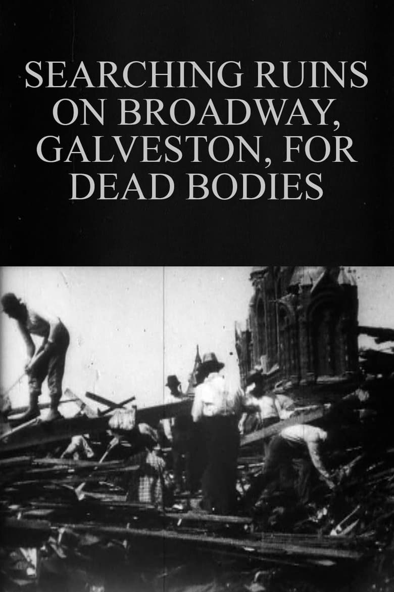 Poster of Searching Ruins on Broadway, Galveston, for Dead Bodies