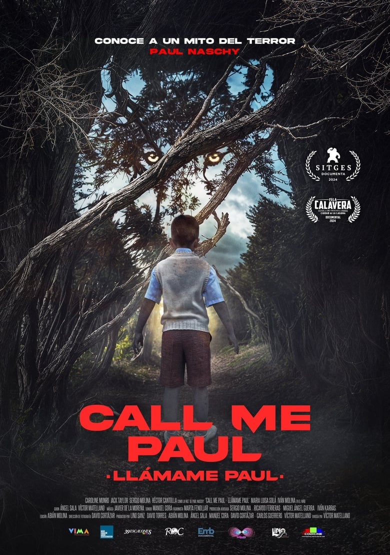 Poster of Call Me Paul