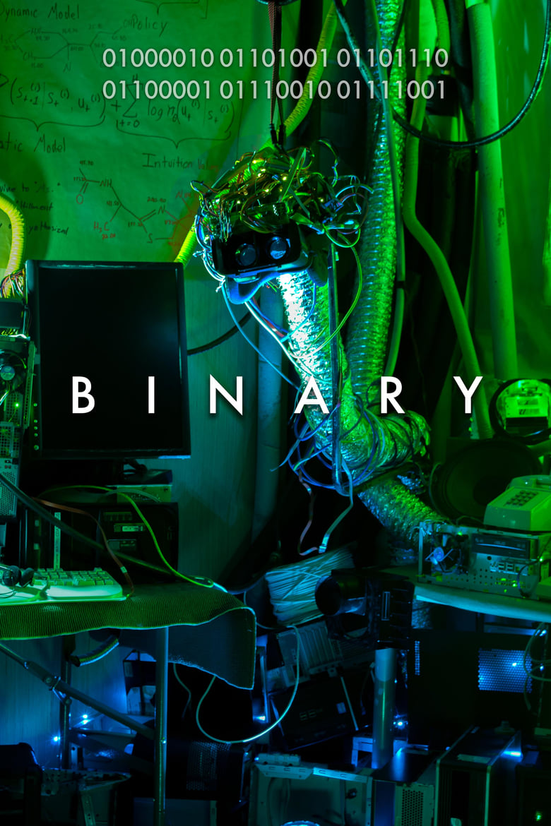 Poster of Binary