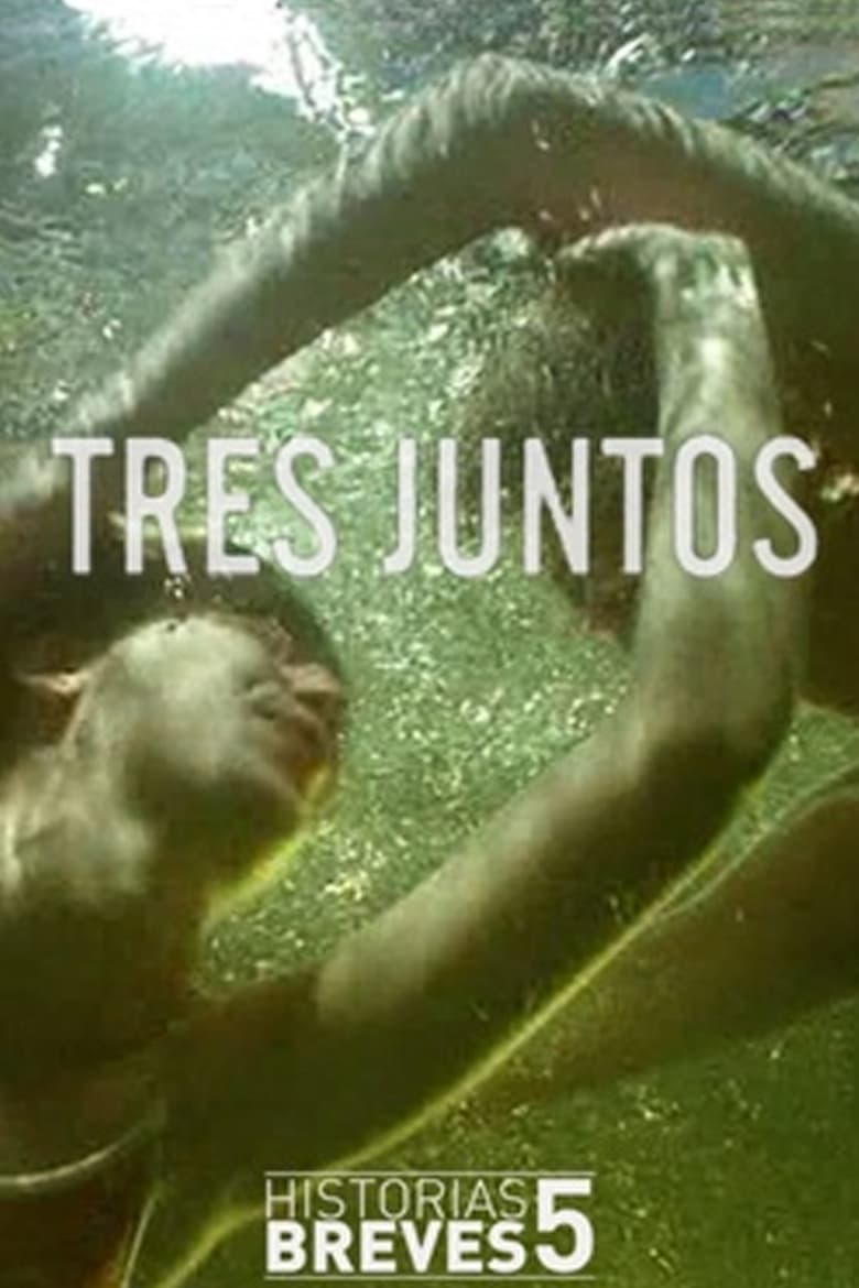 Poster of Tres Juntos