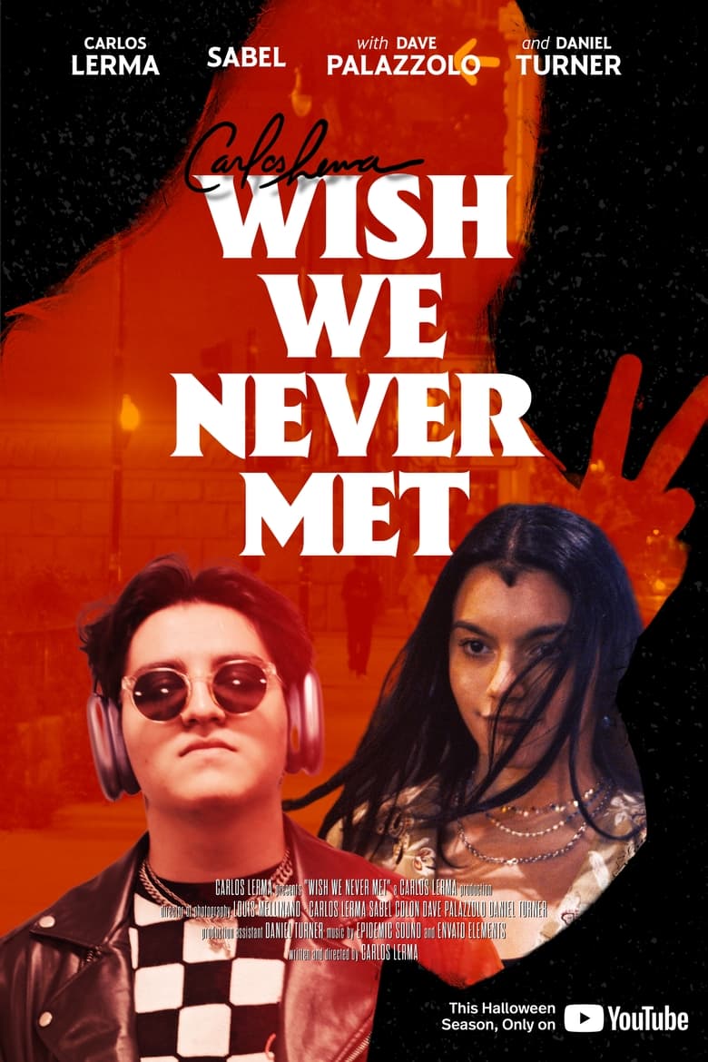 Poster of Wish We Never Met