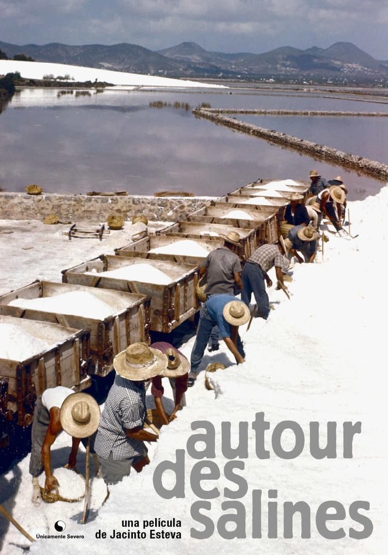 Poster of Autour des salines